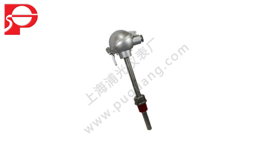 W100溫度傳感器